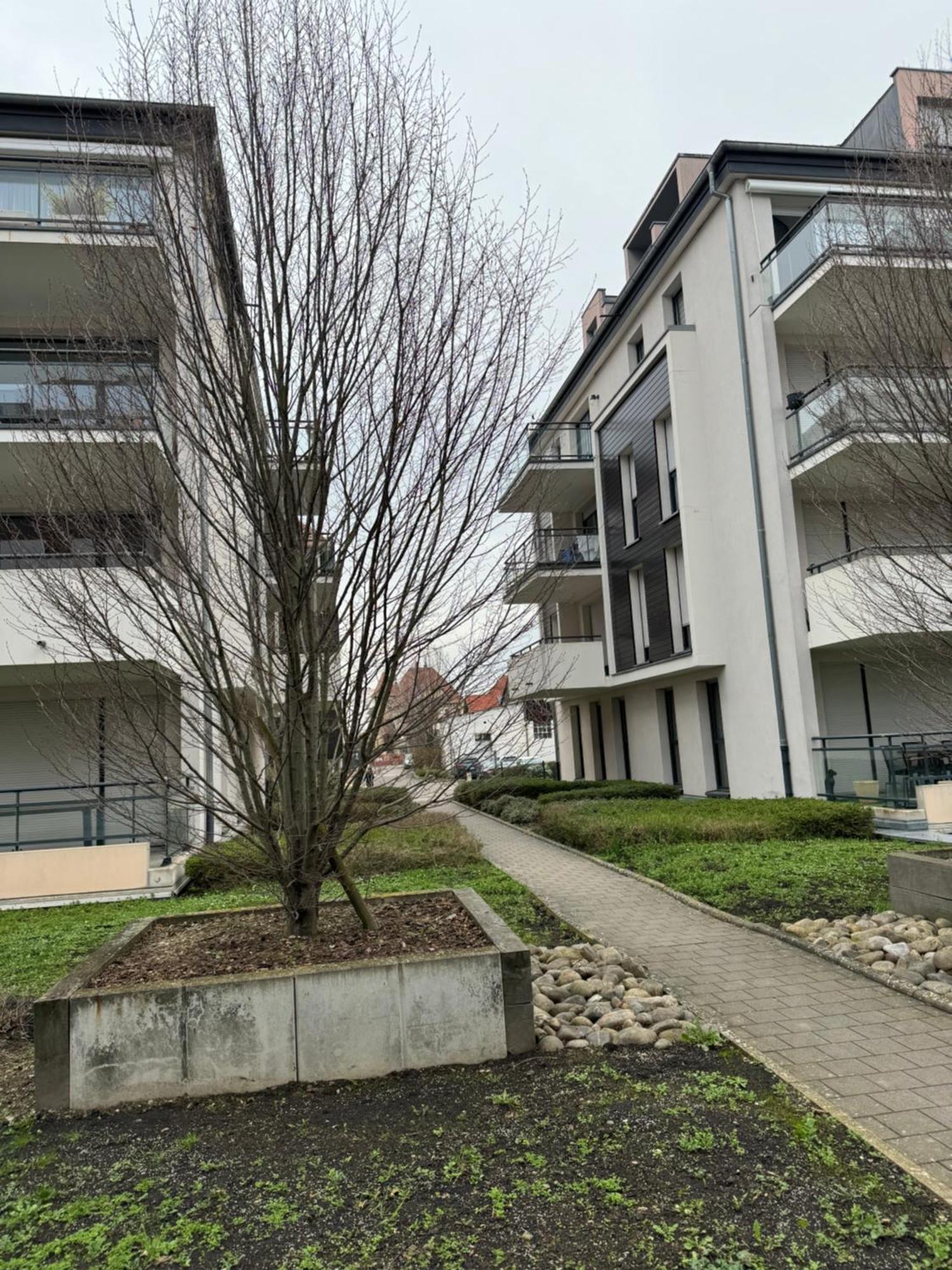 Le "Petit Colmarien" A 1Mn Du Centre Exterior foto